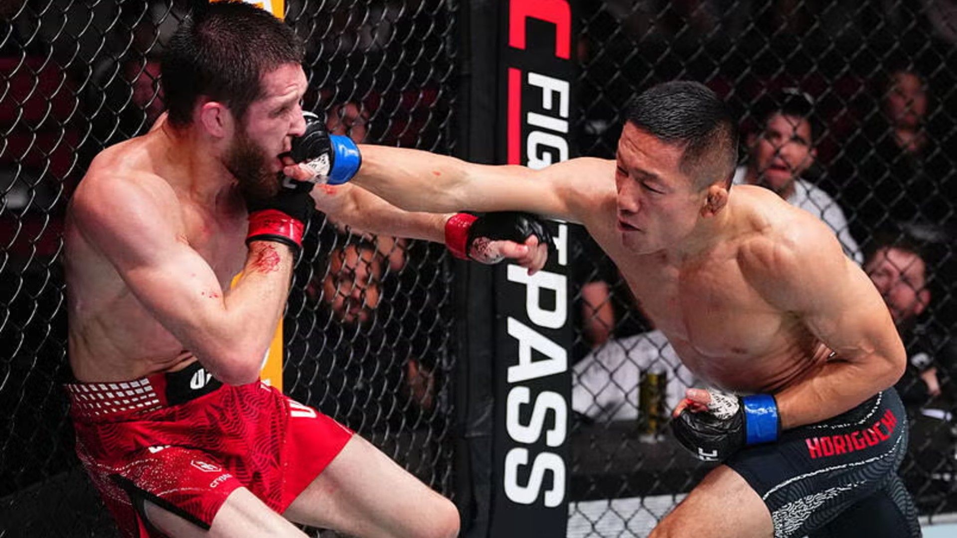 2月8日】堀口恭司 UFCアルバジ戦のテレビ放送/ネット配信予定 | Goal